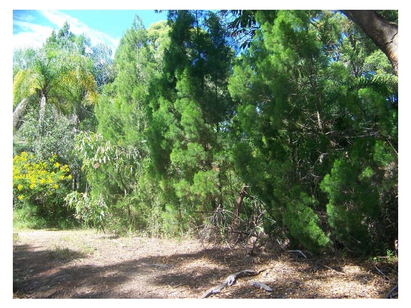 6-8 Bunning St, Russell Island QLD 4184