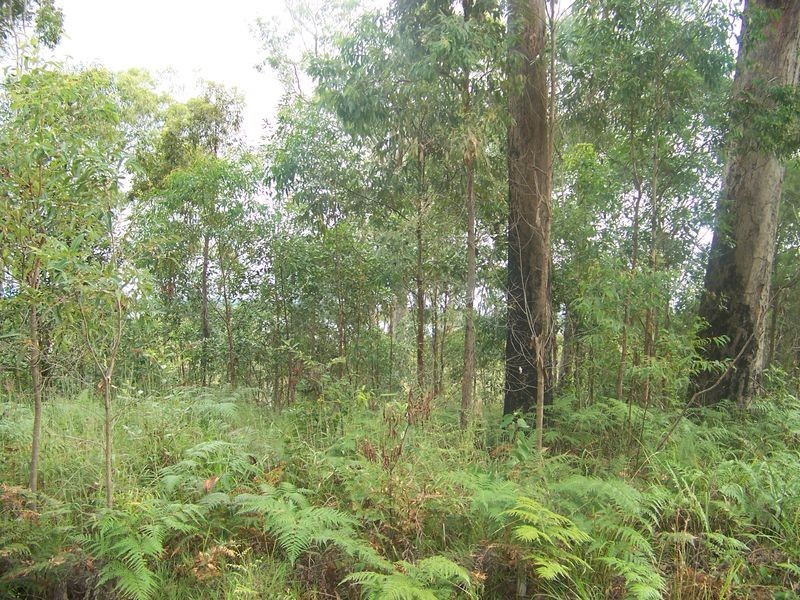 46 Deenya Pde, Russell Island QLD 4184