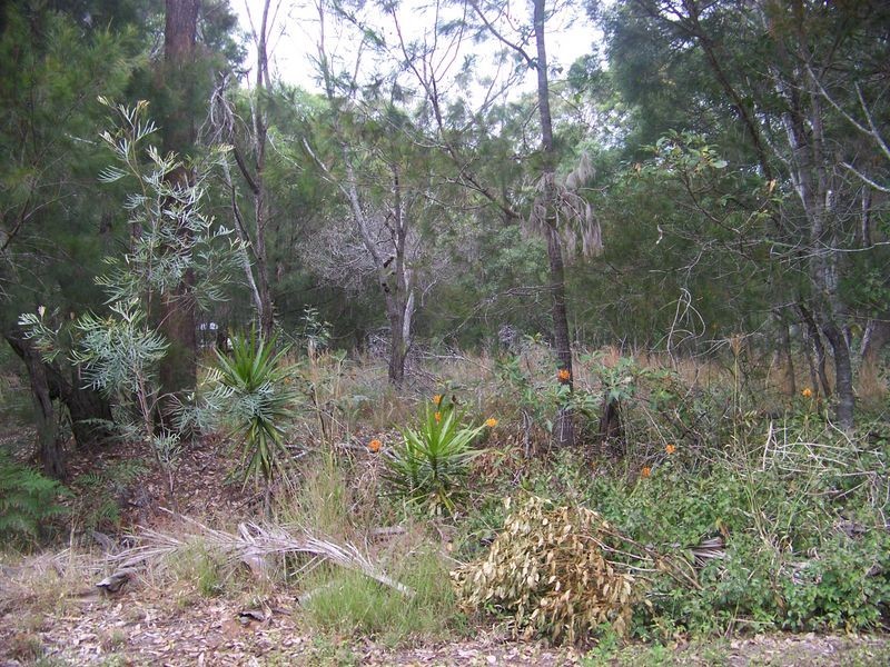 20-22 Poinsettia Ct, Russell Island QLD 4184