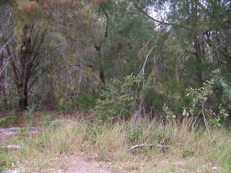 20-22 Poinsettia Ct, Russell Island QLD 4184