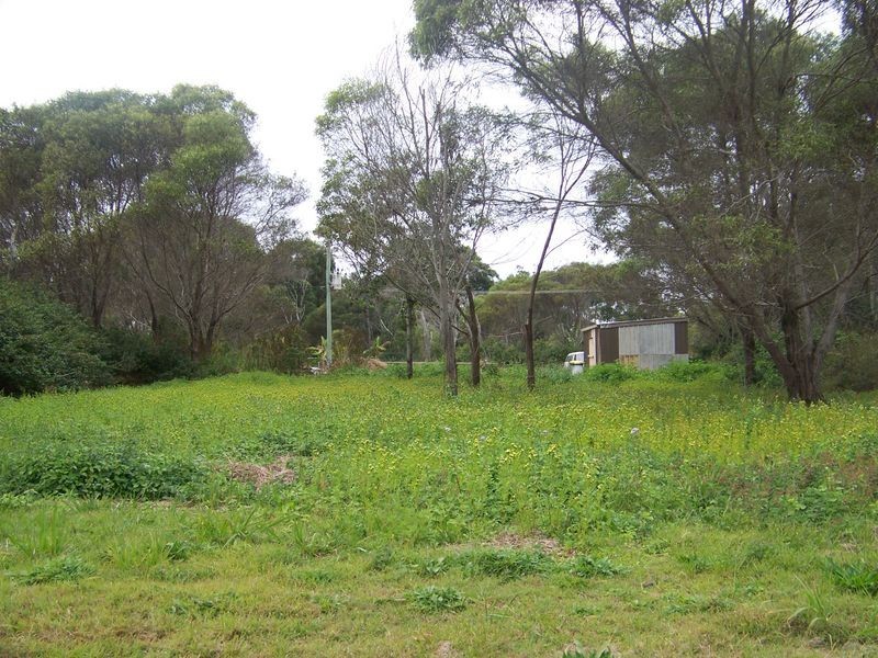 17 Wakehill Rd, Russell Island QLD 4184