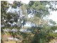 72 Crescent Drive, Russell Island QLD 4184