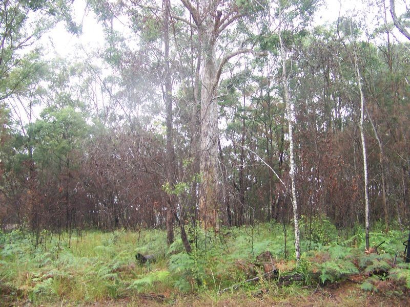 26 Diamond, Russell Island QLD 4184