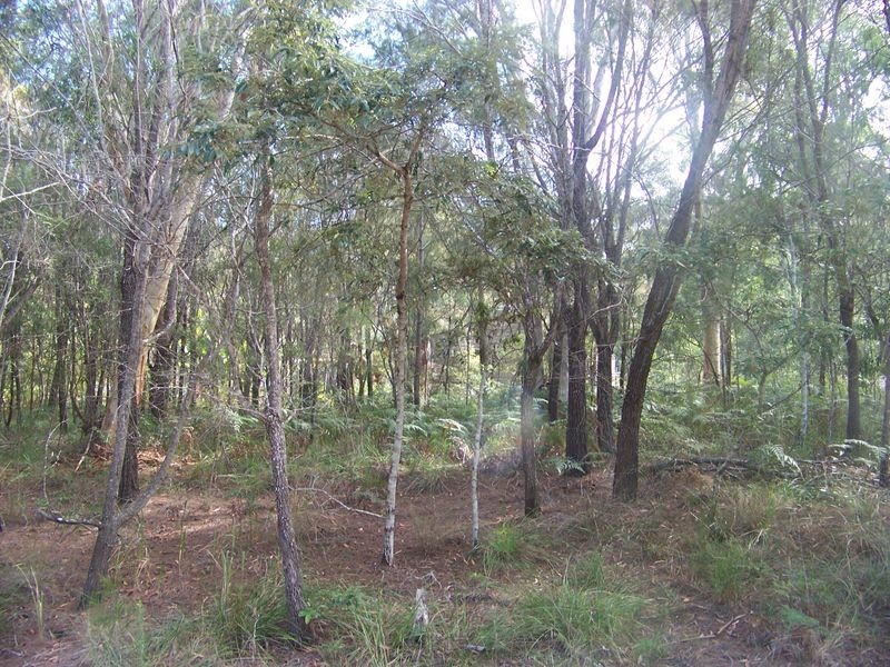 16 Castlewood Cres, Russell Island QLD 4184