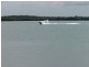 Russell Island QLD 4184
