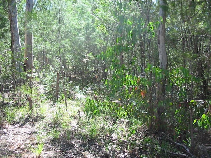 5 Seaward Drive, Russell Island QLD 4184