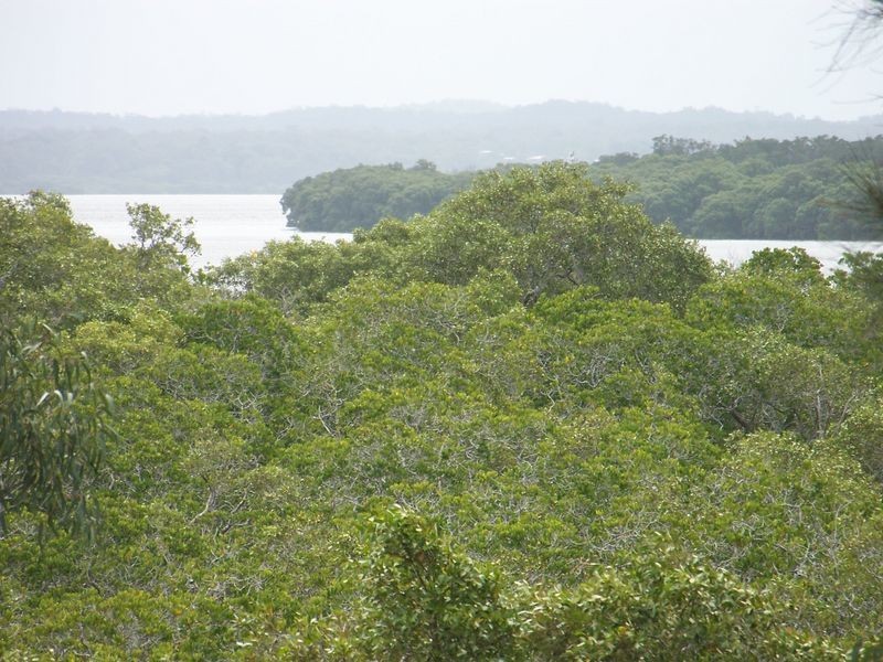Russell Island QLD 4184