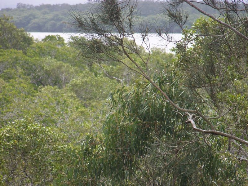 Russell Island QLD 4184