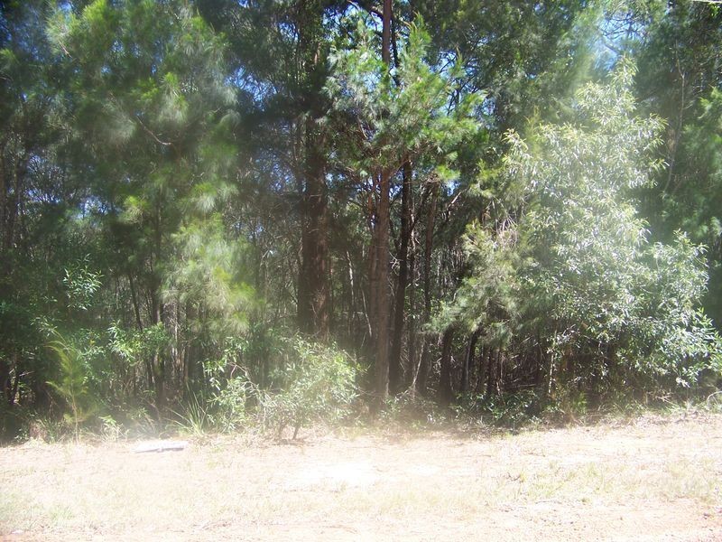 10 Saturn Street, Russell Island QLD 4184