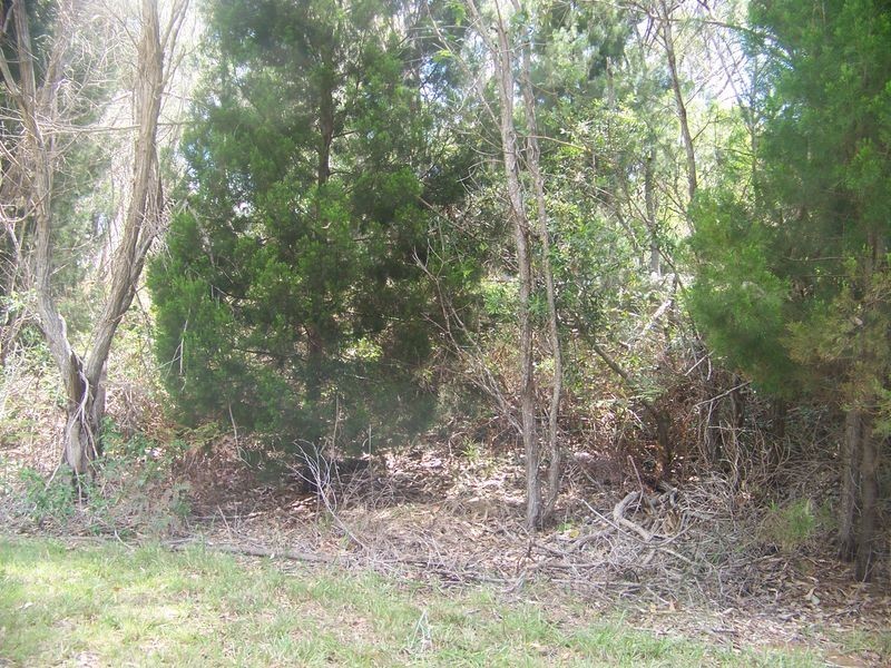 36 Highland Ridge Road, Russell Island QLD 4184