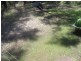 7 Sapphire, Russell Island QLD 4184