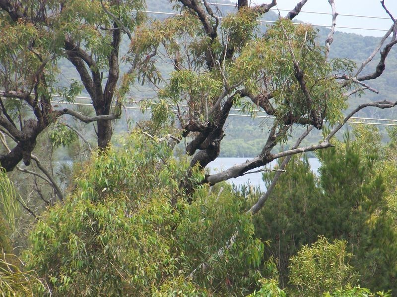 Russell Island QLD 4184