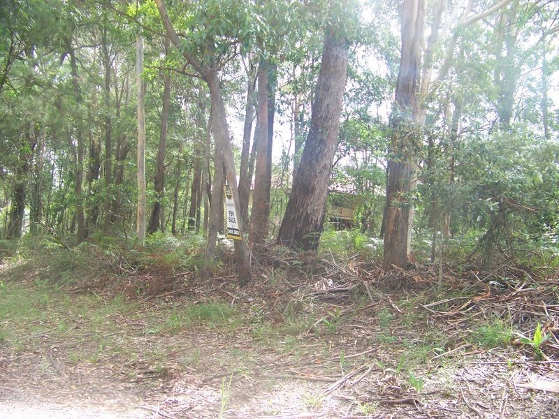 81 Harvey Street, Russell Island QLD 4184