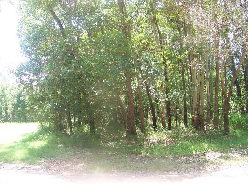 10 Bangalow, Russell Island QLD 4184