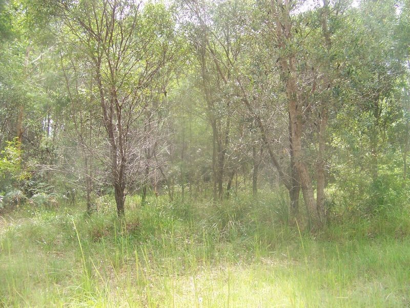 7 Summerland Drive, Russell Island QLD 4184