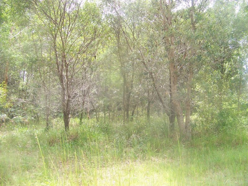 7 Summerland Drive, Russell Island QLD 4184