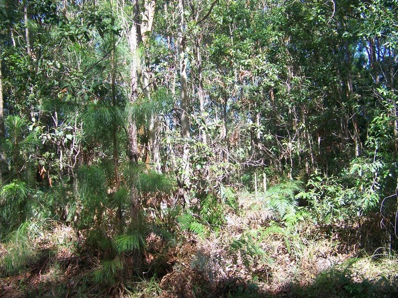 16 Fernbrook, Russell Island QLD 4184
