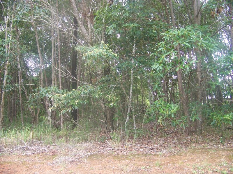 57 Glendale Rd, Russell Island QLD 4184