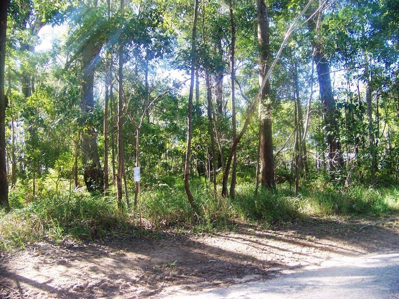 29 Ilumba Street, Russell Island QLD 4184