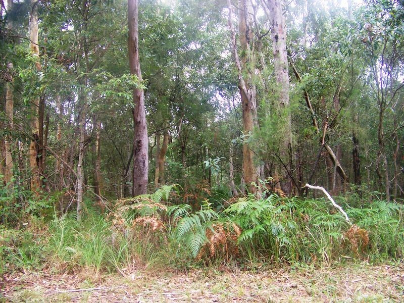 37 Forest Hill Rd, Russell Island QLD 4184