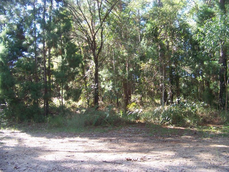 21 Borrows St, Russell Island QLD 4184