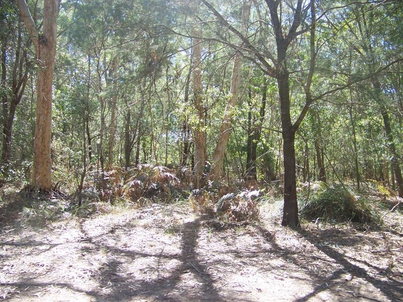 5 Belgrave Rd, Russell Island QLD 4184