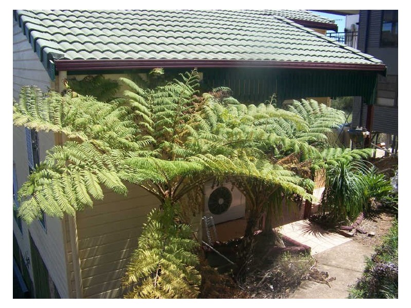 42 Mark Road, Russell Island QLD 4184