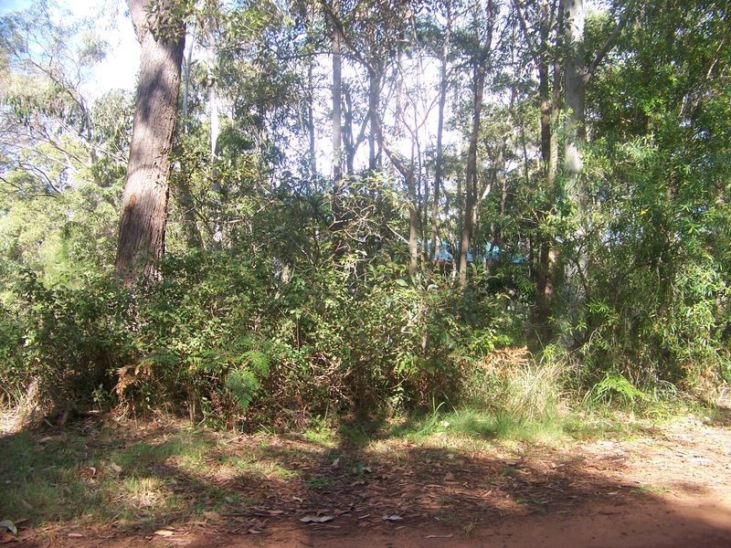 8 Dempsey St, Russell Island QLD 4184