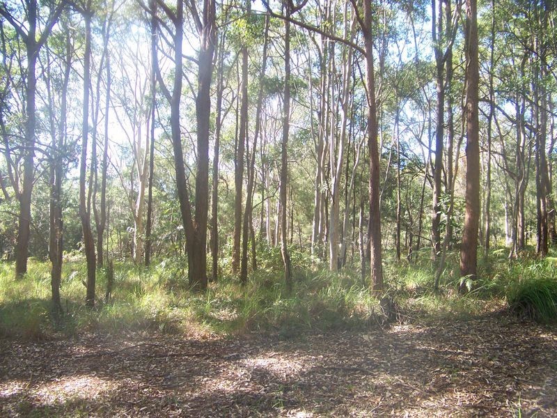 12 Eldon Dve, Russell Island QLD 4184