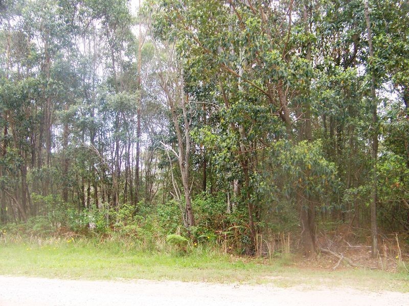 25 Oxley Ave, Russell Island QLD 4184