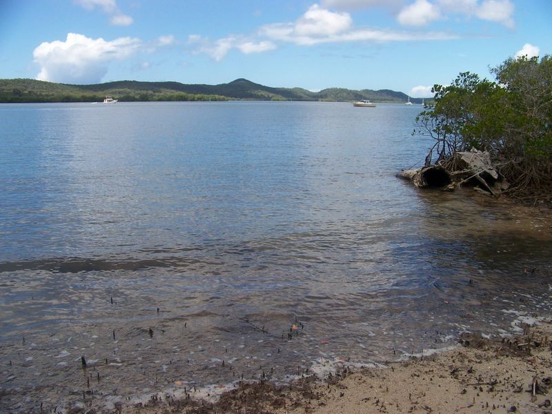 58 Pier Haven, Lamb Island QLD 4184