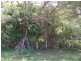 15 Oaklea, Russell Island QLD 4184