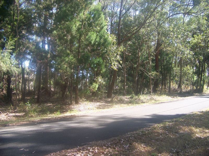 16 Fernbrook Av, Russell Island QLD 4184