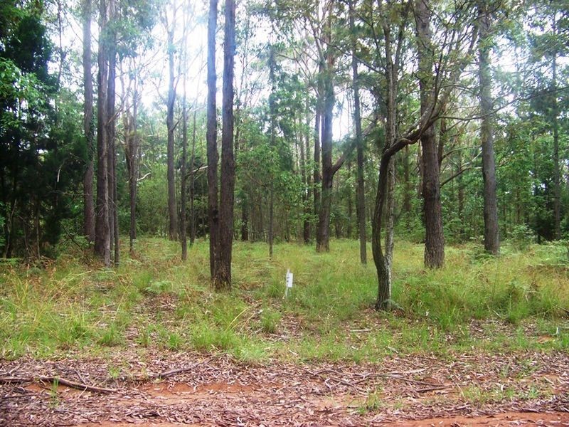 9 Meadstone Street, Russell Island QLD 4184