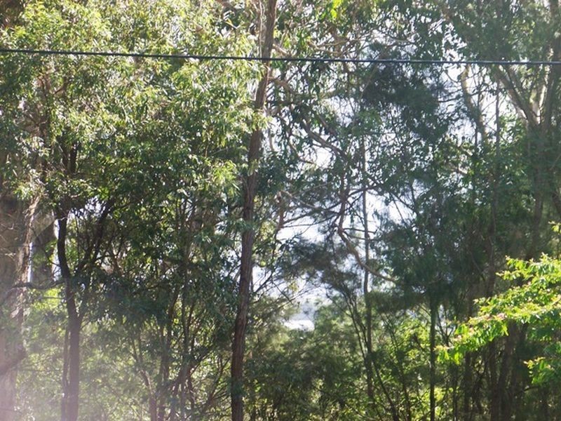 10 Kula St, Russell Island QLD 4184