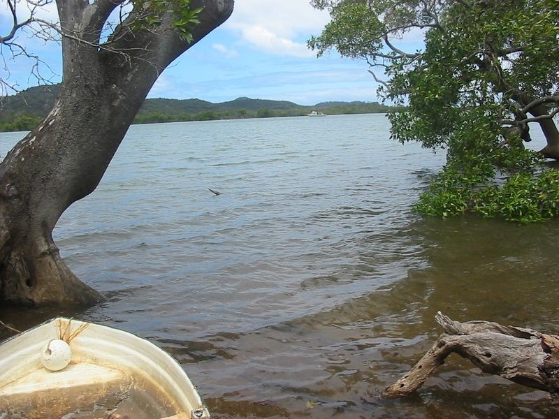 38 Oasis Dve, Russell Island QLD 4184