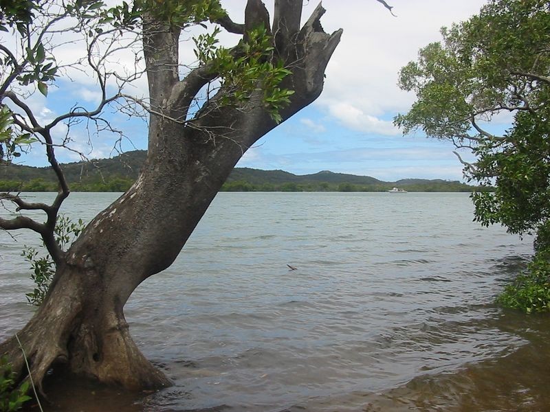 38 Oasis Dve, Russell Island QLD 4184