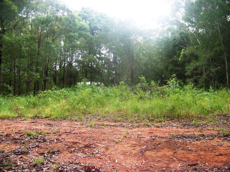 19 Cynthia, Russell Island QLD 4184