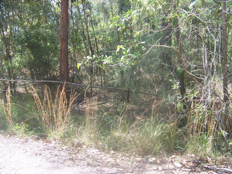 7 Kennedy Avenue, Russell Island QLD 4184