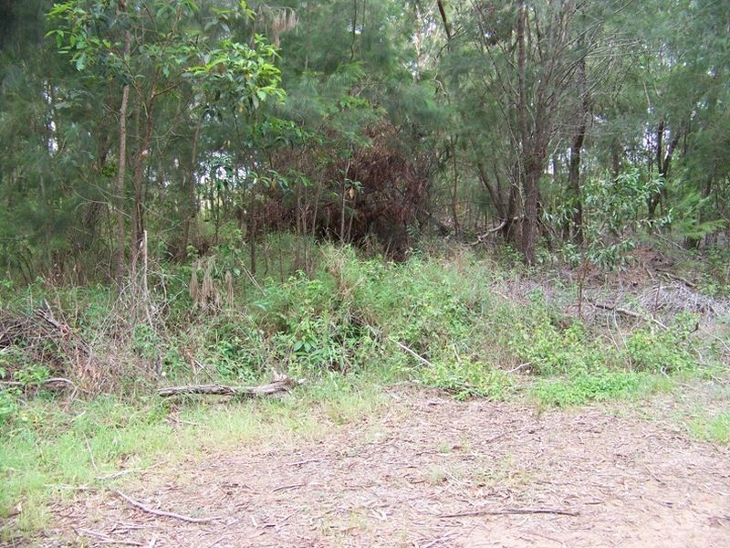 13 Coleus St, Russell Island QLD 4184