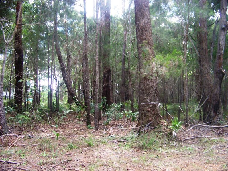 13 Beaumoht Dve, Russell Island QLD 4184