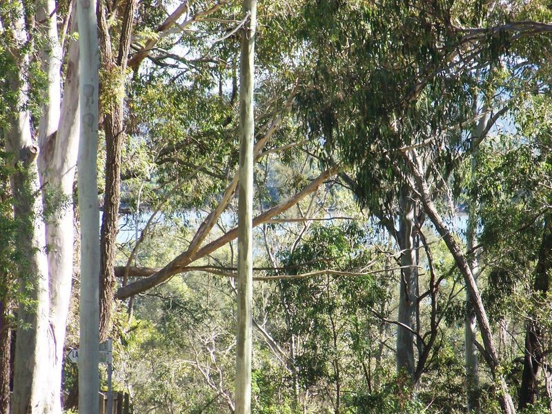 115 Laurel Street, Russell Island QLD 4184