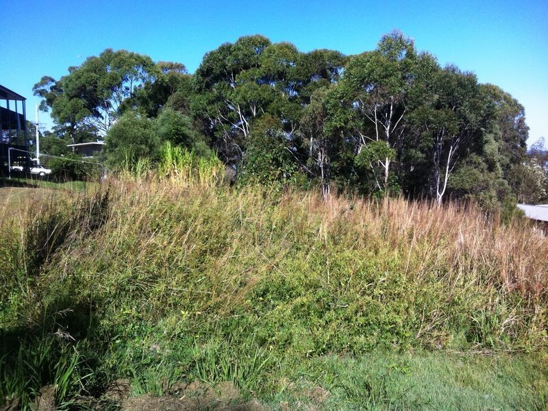 3 Binalong St, Russell Island QLD 4184