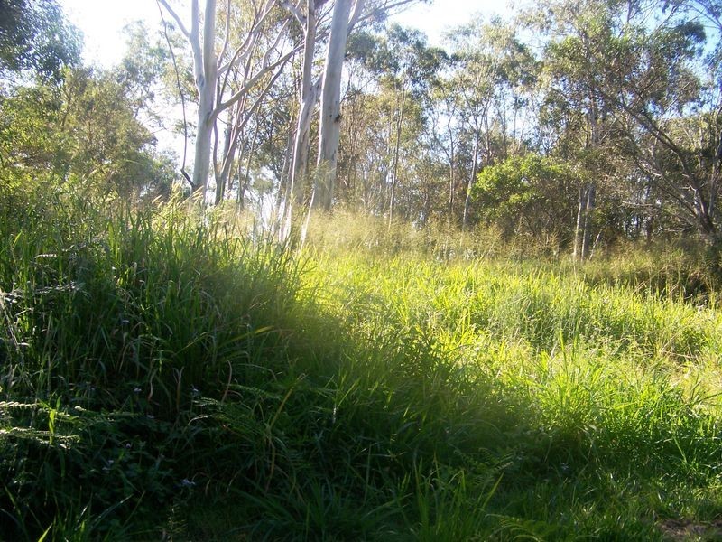 13 Karri Street, Russell Island QLD 4184