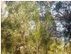 9 Binalong, Russell Island QLD 4184