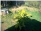 150 Palm Beach Rd, Russell Island QLD 4184