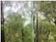7 Kula St, Russell Island QLD 4184
