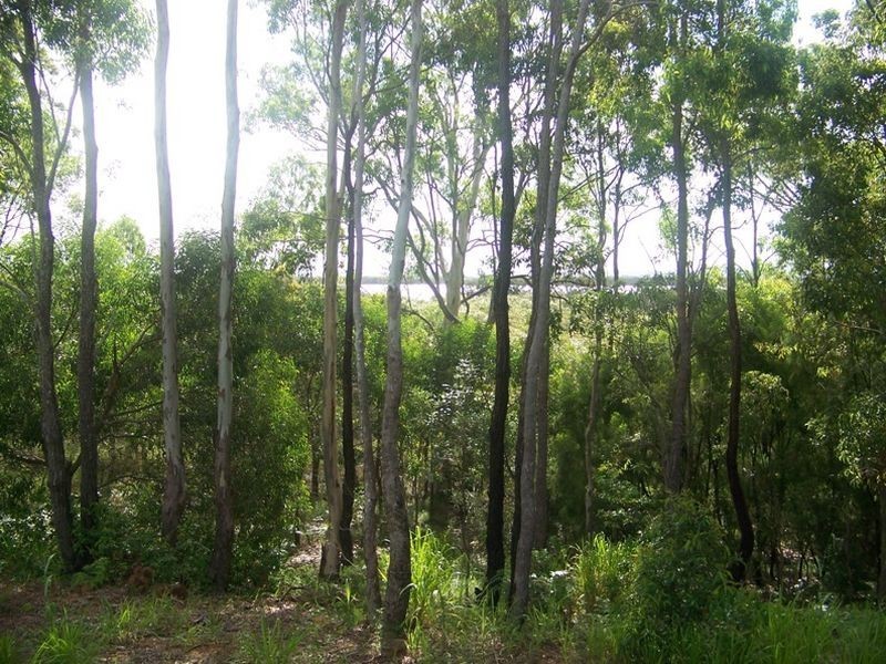 128 Laurel St, Russell Island QLD 4184