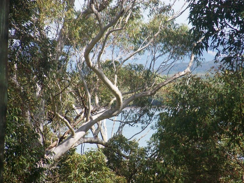 39 Ilumba Street, Russell Island QLD 4184