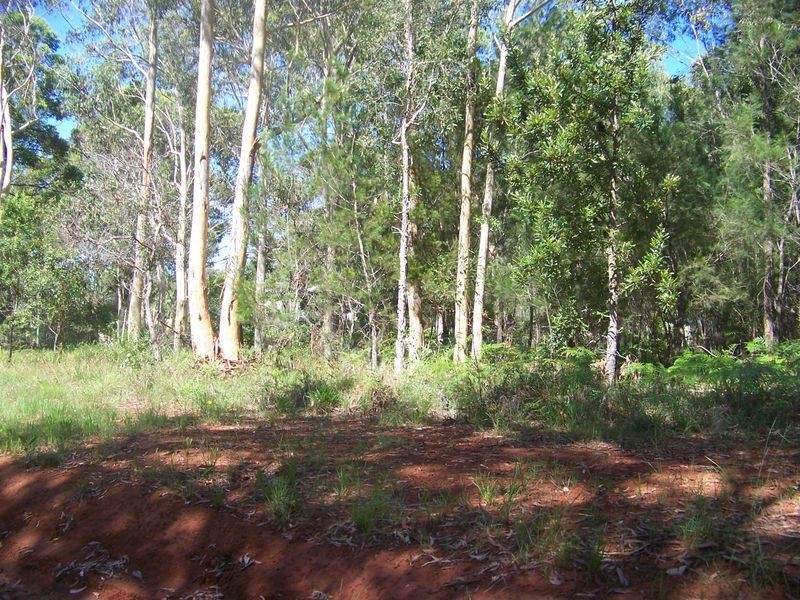 16 Glenfield Ave, Russell Island QLD 4184
